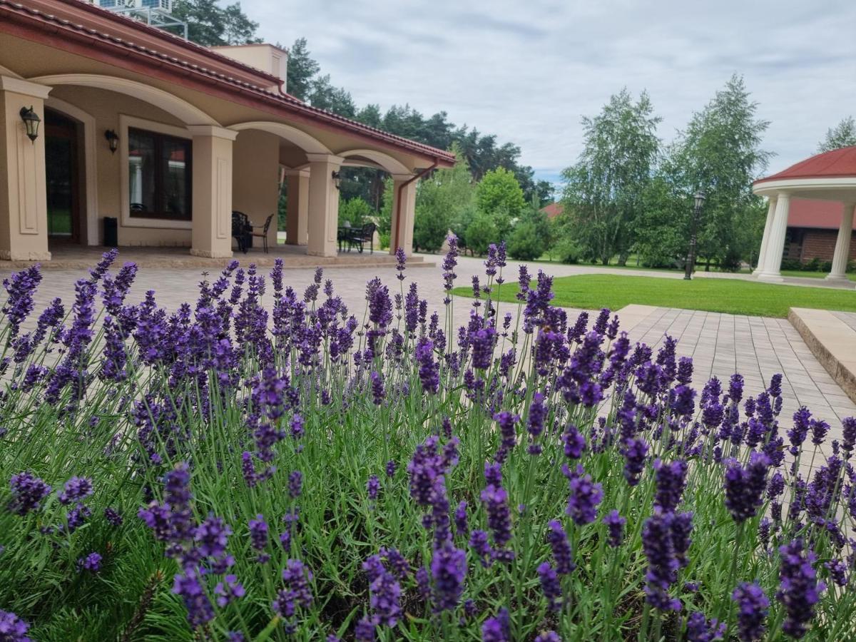 Hotel Dworek Za Lasem 3*